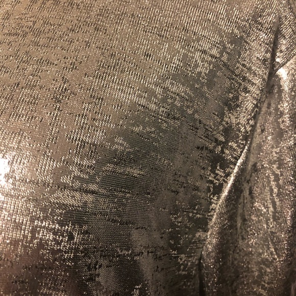 Beautiful Silver Plus Size Dress - Picture 3 of 4